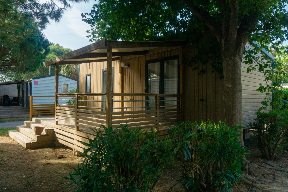 Mobil home neuf 2 chambres TRIGANO Evo 33 sur sa parcelle en camping